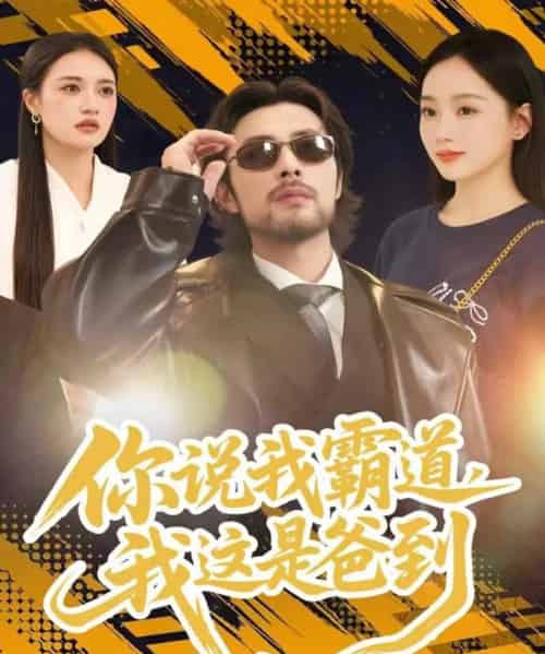 你说我霸道，我这是爸到（70集全）吴鑫尊＆席文君-紫橙网创项目网