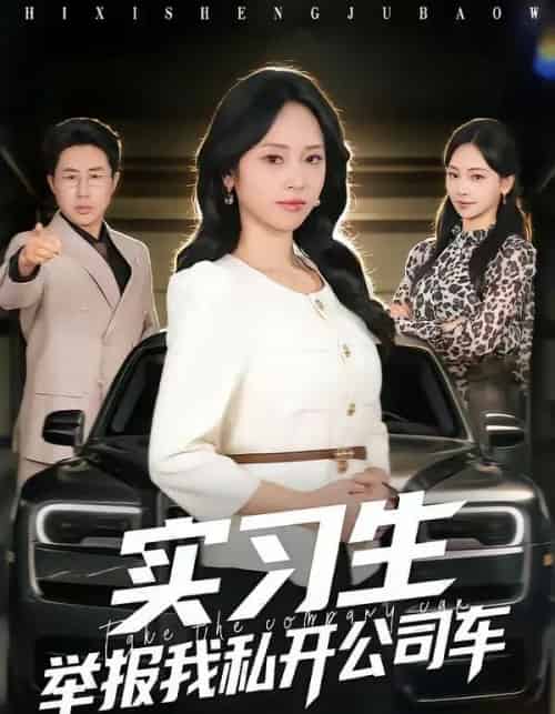 实习生举报我私开公司车（69集全）祁照通＆杨映真-紫橙网创项目网