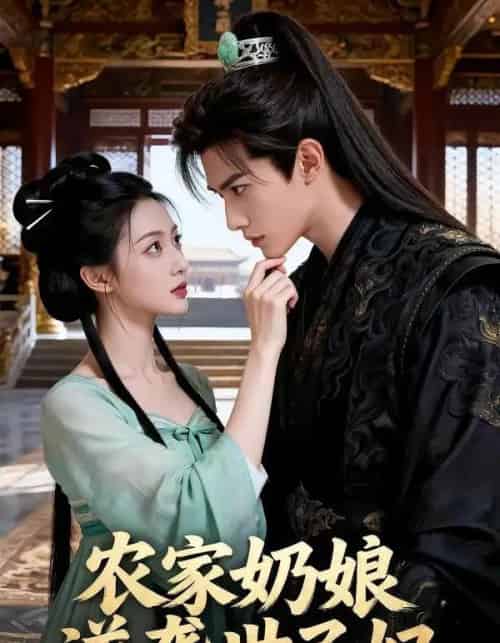农家奶娘逆袭世子妃（50集全）AI-紫橙网创项目网
