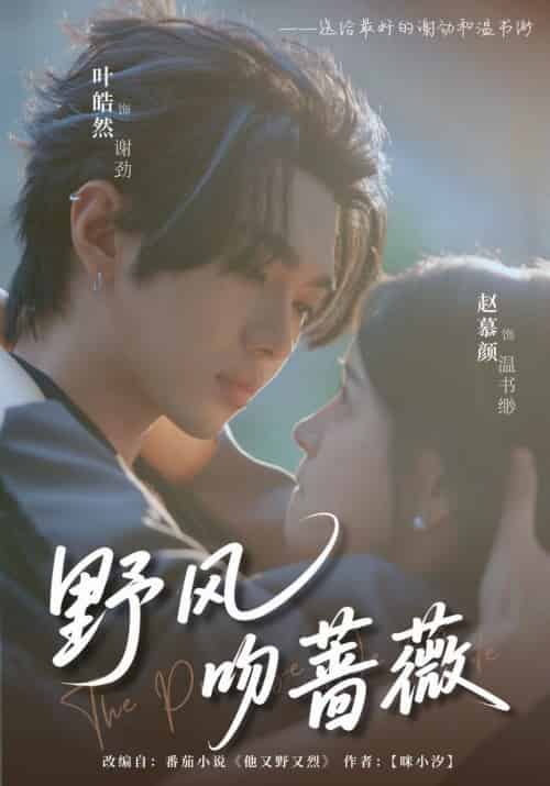 野风吻蔷薇（78集全）叶皓然＆赵慕颜 - 紫橙阁短剧