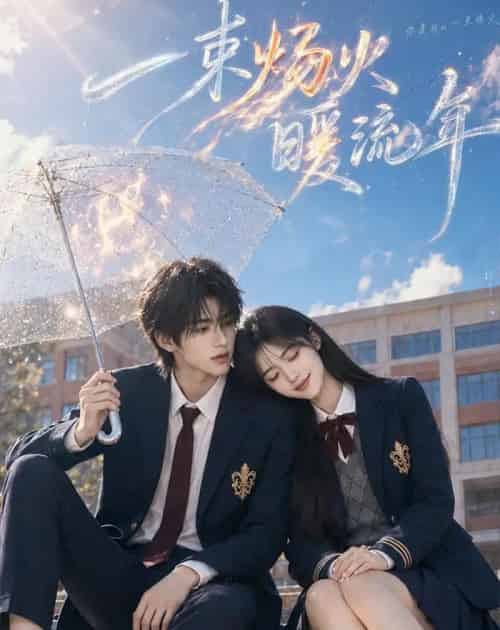 一束炀火暖流年(75集全)AI-紫橙网创项目网