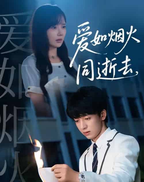 爱如烟火同逝去(51集全)金大钟&常文景-紫橙网创项目网