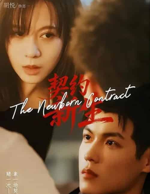 契约新生（70集全）胡悦＆贺宇-紫橙网创项目网