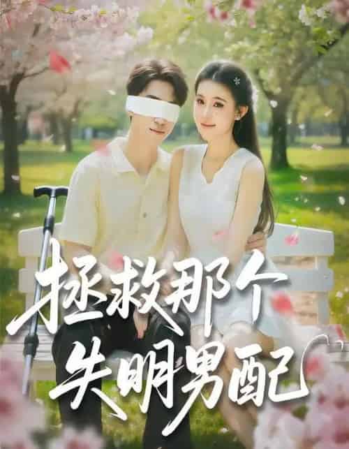 拯救那个失明男配（79集全）刘子豪＆贾熙宁-紫橙网创项目网