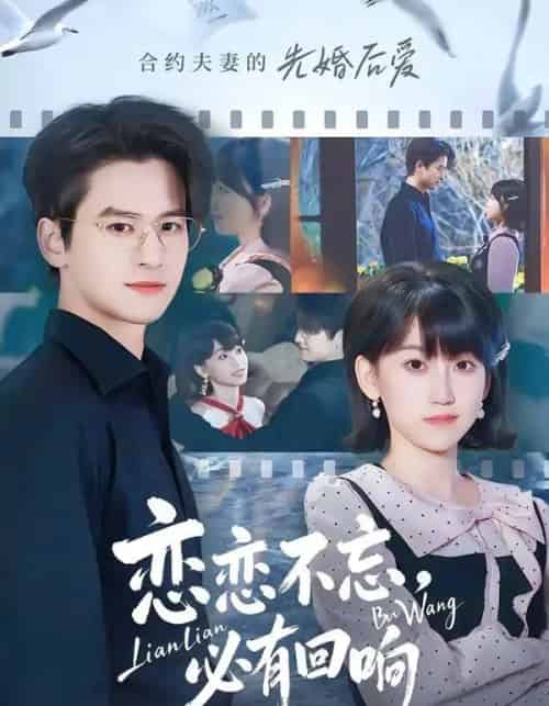 恋恋不忘，必有回响（80集全）张埜＆杨乔语-紫橙网创项目网