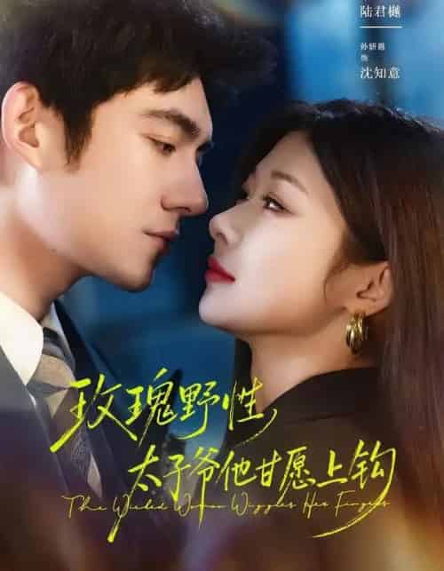 玫瑰野性，太子爷他甘愿上钩（82集全）马浩东＆孙妍恩-紫橙网创项目网