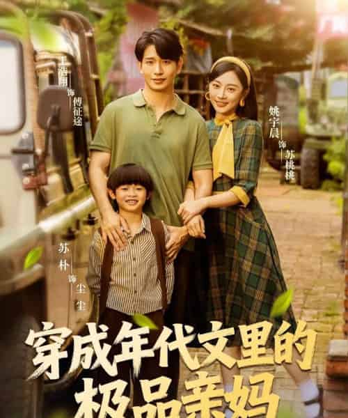 穿成年代文里的极品亲妈(60集全)姚宇晨&王浩翔-紫橙网创项目网