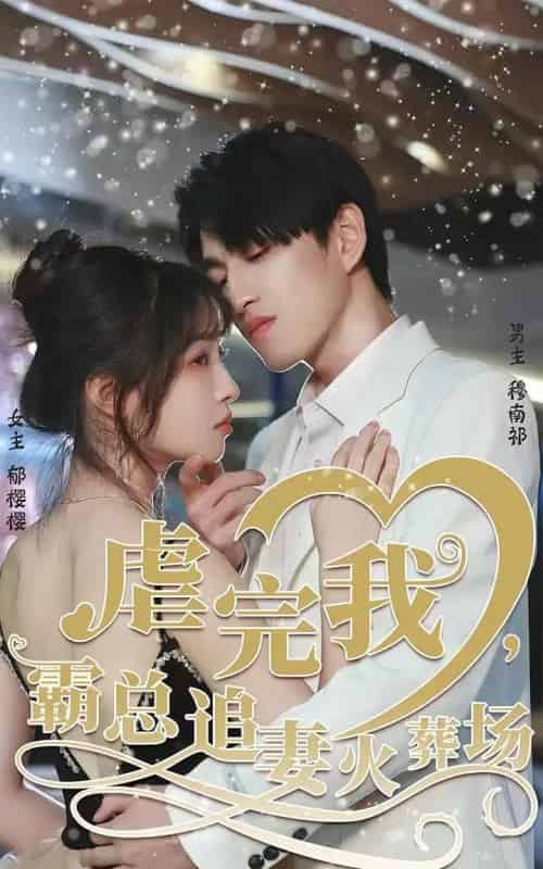 转身离开后&虐完我,霸总追妻火葬场(103集全)林可汉&陆元-紫橙网创项目网