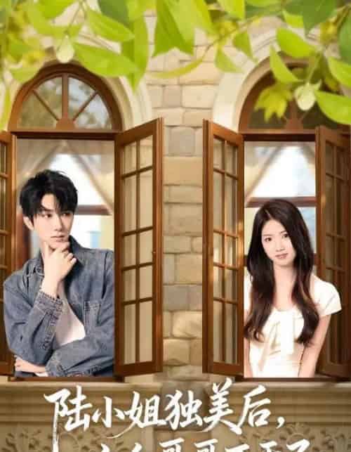 陆小姐独美后六个哥哥不干了（84集全）钊宏＆高洁慧-紫橙网创项目网