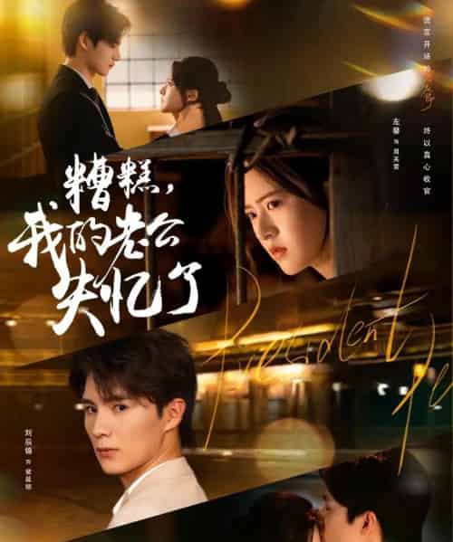 糟糕我的老公失忆了(80集全)刘辰锦&左馨-紫橙网创项目网