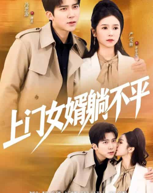 上门女婿躺不平(80集全)冯思源&严雯丽-紫橙网创项目网