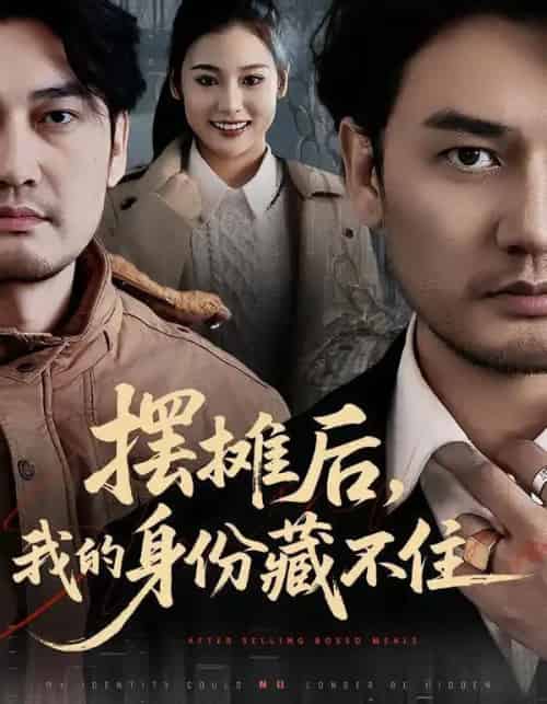 摆摊后,我的身份藏不住(43集全)丁峰&王誉然-紫橙网创项目网