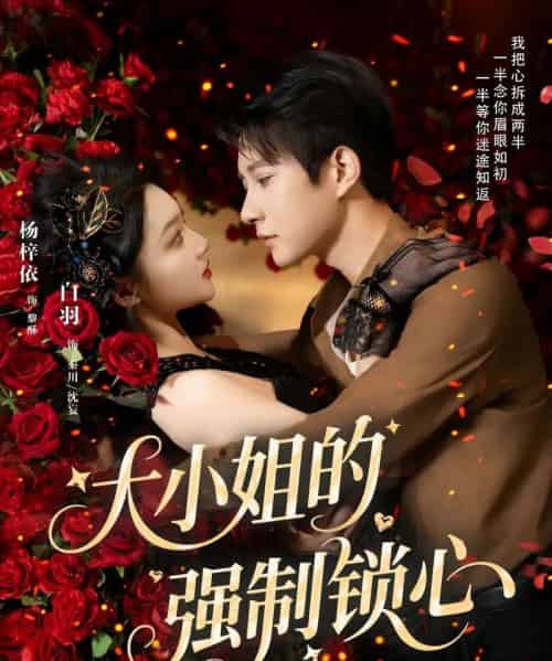 大小姐的强制锁心 大小姐的强制锁心