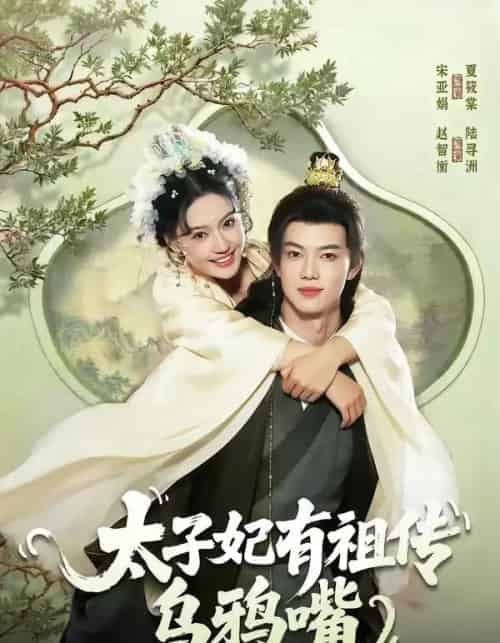 太子妃有祖传乌鸦嘴(73集全)赵智衡&城城-紫橙网创项目网