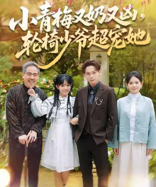 小青梅又奶又凶，轮椅少爷超宠她（90集全）王镱深＆张紫璇-紫橙网创项目网