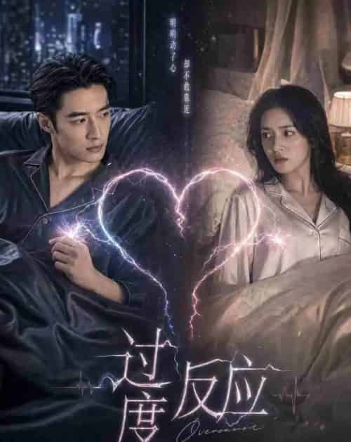 过度反应（51集全）AI-紫橙网创项目网