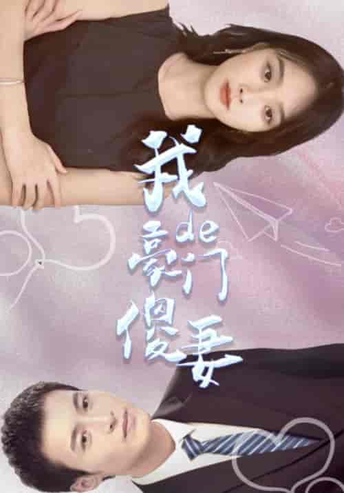 我的豪门傻妻 我的豪门傻妻