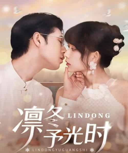 凛冬予光时（60集）李河源＆盛晨 - 紫橙阁短剧
