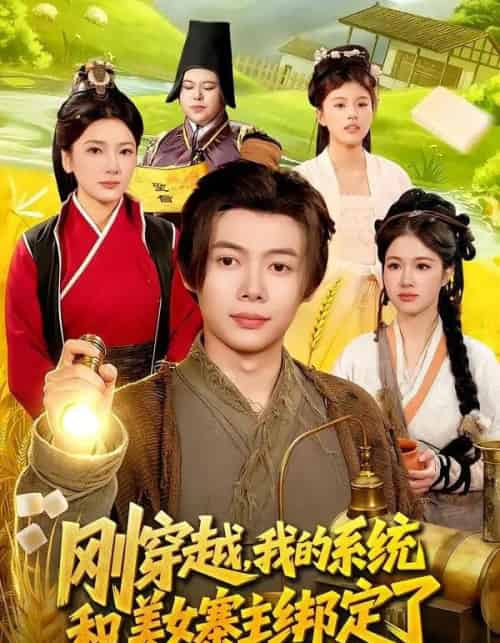 刚穿越,我的系统和美女寨主绑定了(98集全)王镱深&姜云宁-紫橙网创项目网