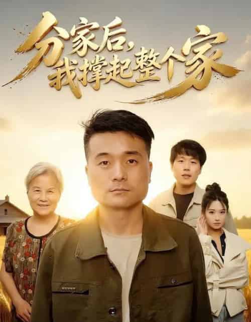 分家后我撑起整个家(61集全)张川&杨敬晶-紫橙网创项目网