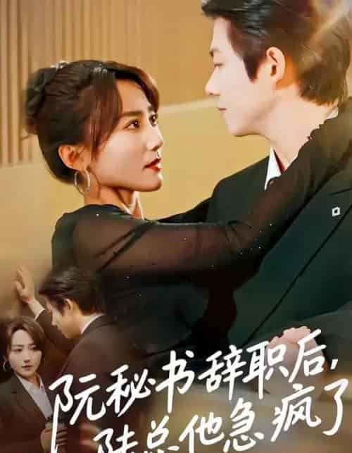 阮秘书辞职后，陆总他急疯了（80集全）闫聪＆王厂-紫橙网创项目网