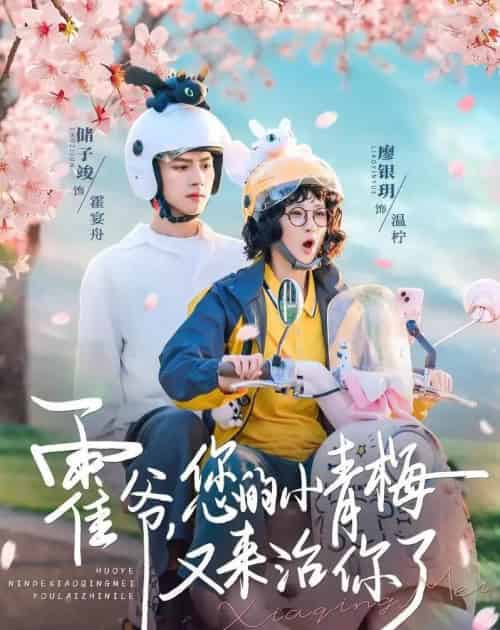 霍爷，您的小青梅又来治你了（90集全）储子竣＆廖银玥-紫橙网创项目网