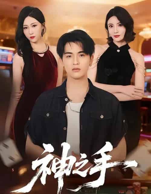 神之手(59集全)郑智婷&王浩博-紫橙网创项目网