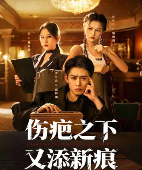 伤疤之下又添新痕(60集全)李世鑫&丁磊-紫橙网创项目网