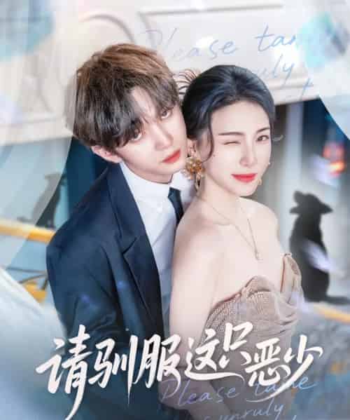 请驯服这只恶少 请驯服这只恶少