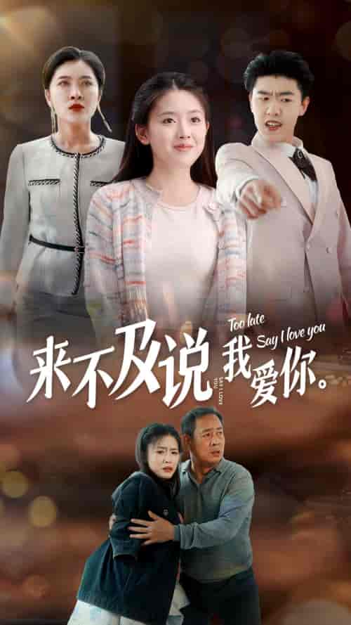 来不及说我爱你（66集） - 紫橙阁短剧