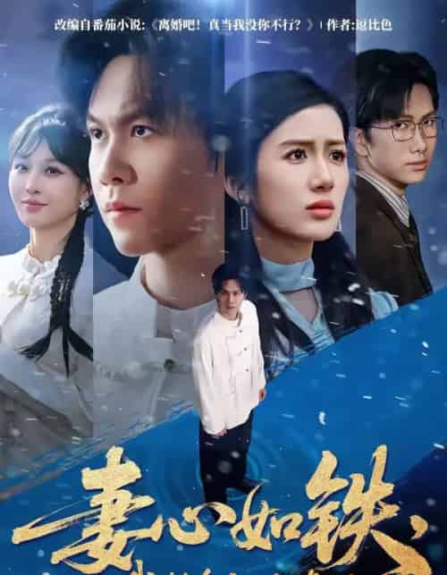 妻心如铁,我转身离婚修仙(81集全)陈景霖&陈丹-紫橙网创项目网