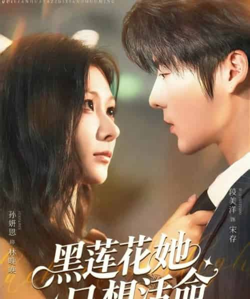 黑莲花她只想活命（60集）段美洋＆孙妍恩 - 紫橙阁短剧