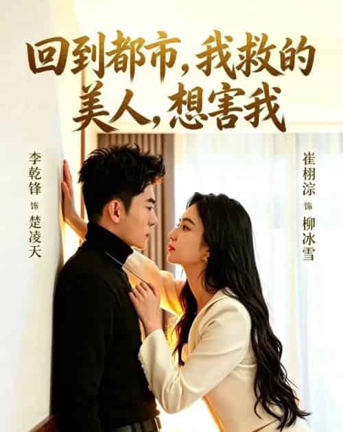 回到都市,我救的美人,想害我(97集全)李乾锋&崔栩淙-紫橙网创项目网