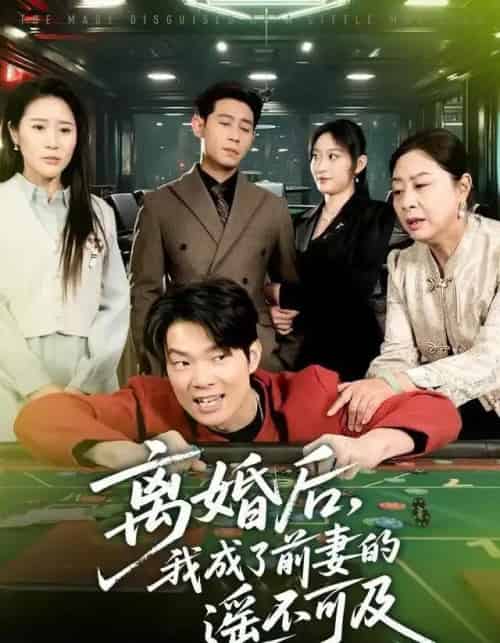 离婚后，我成了前妻的遥不可及（60集全）于宙童＆王昱赫-紫橙网创项目网
