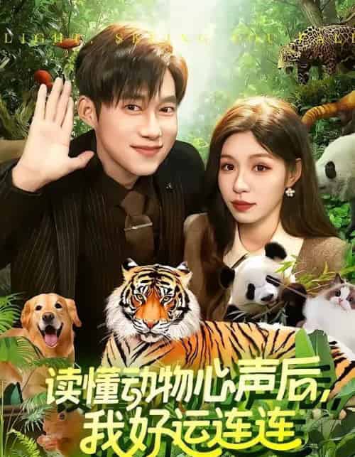 读懂动物心声后，我好运连连（121集全）王大钱＆朱佳琪-紫橙网创项目网