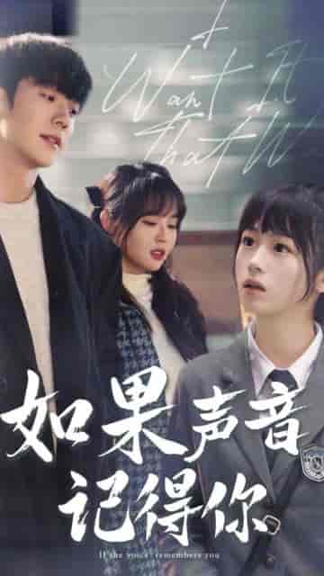 如果声音记得你（长篇） - 紫橙阁短剧