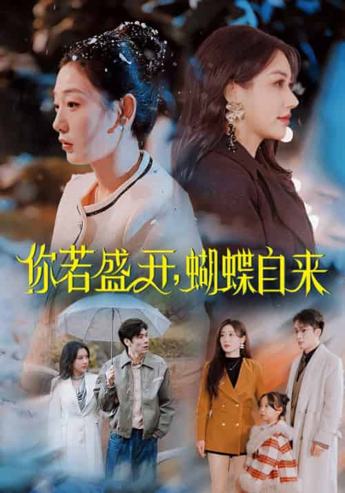 你若盛开，蝴蝶自来（63集全）颜睿寒＆杨欣怡 - 紫橙阁短剧