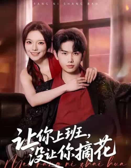 让你上班，没让你摘花（70集全）王凯波＆王若妍＆陈有晴 - 紫橙阁短剧