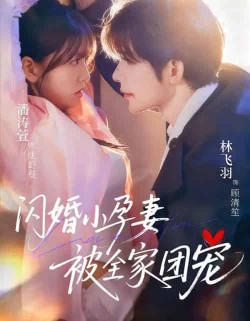 闪婚小孕妻被全家团宠（59集全）林飞羽＆潘涛萱-紫橙网创项目网