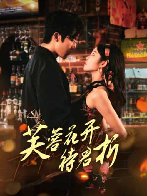 芙蓉花开待君折（75集全）张北淅＆刘盈 - 紫橙阁短剧
