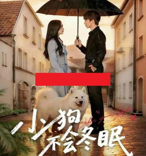 小狗不会冬眠（70集全）张皓文＆乔槿-紫橙网创项目网