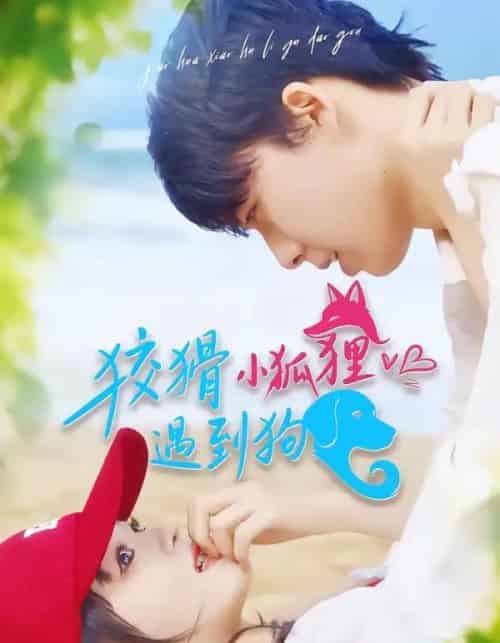 狡猾小狐狸遇到狗 狡猾小狐狸遇到狗