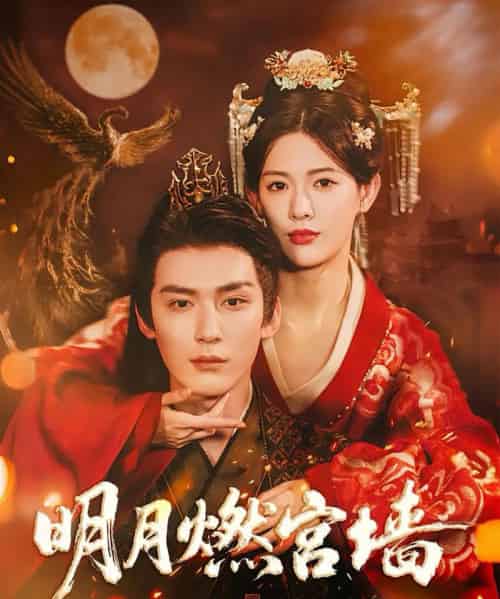 明月燃宫墙 明月燃宫墙
