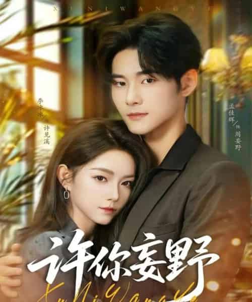 许你妄野（80集全）孟佳辉＆李冰冰-紫橙网创项目网