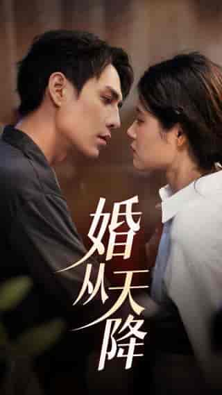 婚从天降（92集）张雨晴 - 紫橙阁短剧