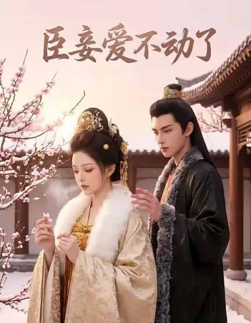 臣妾爱不动了(40集全)AI-紫橙网创项目网