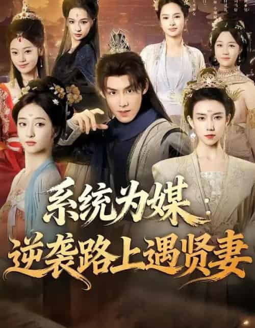 系统为媒：逆袭路上遇贤妻（71集全）林永炬＆修雨秀-紫橙网创项目网