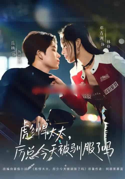 彪悍太太，厉总今天被驯服了吗（88集全）岳杨＆邓青洲-紫橙网创项目网