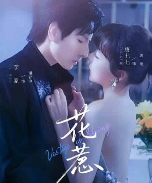 花惹（70集全）李豪＆唐七七 - 紫橙阁短剧