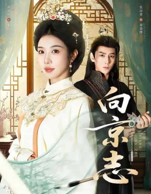 向京志（80集全）张添景＆林琦婷-紫橙网创项目网